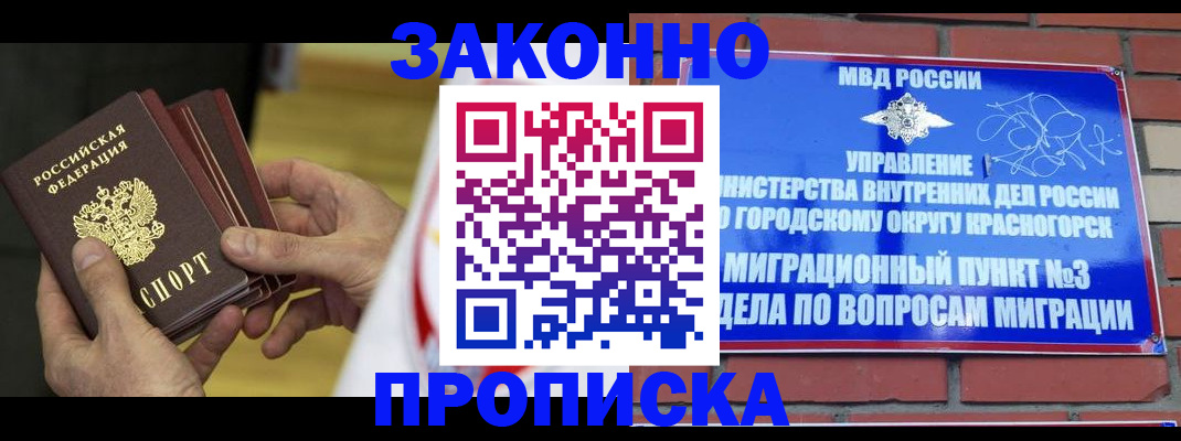 прописка для школы в Щёлково